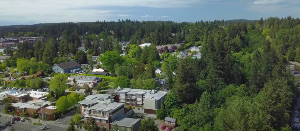 Buildings Surrounded by Green Landscape and Many Trees