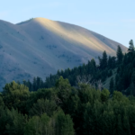 A landscape featuring lush greenery and distant mountains