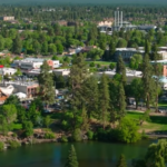 Town seen from above, surrounded by trees