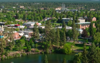 Town seen from above, surrounded by trees