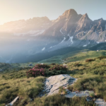 hills with flowers and mountains in the background