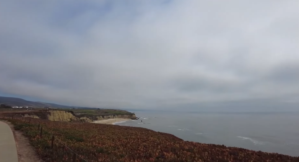 seaside with flowers, and ocean in cloudy weather