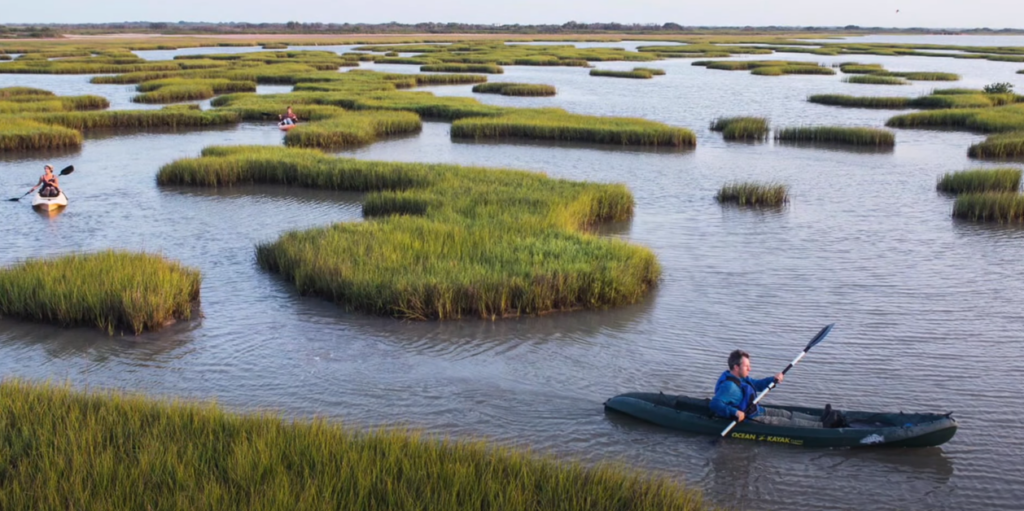 people kayaking on a lake