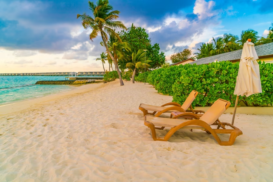 a beach scene with a sunlounger, trees, and plants